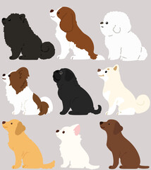 Set of flat colored adorable dogs sitting in side view