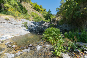 Crystal clear river surrounded by vegetation and stones