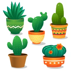 Foto op Aluminium Cactus in pot Kleurenafbeeldingen van cactus op witte achtergrond. Kamerplanten of kamerplanten. Vector illustratie instellen.