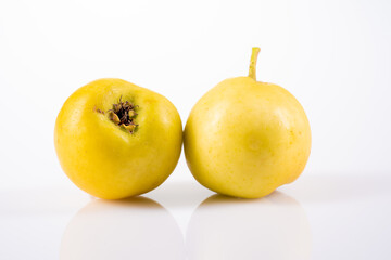 Ripe hawthorn on white background