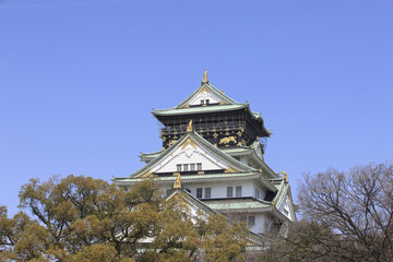 Naklejka premium 大阪城
