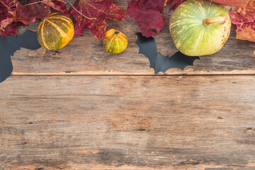 Template for halloween or thanksgiving greeting card. Frame of pumpkins, red maple leaves and bats...