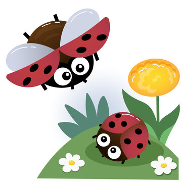 Color image of little ladybugs on white background. Insects and bugs. Vector illustration for kids.