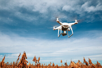 drone quad copter on yellow field