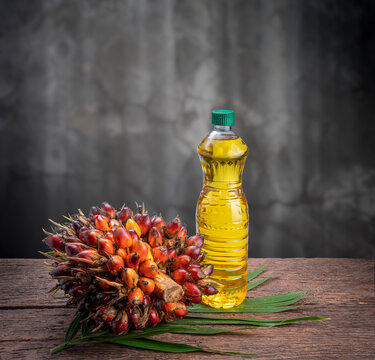 Fresh palm oil fruits and cooking palm oil on a palm leaves in wooden background