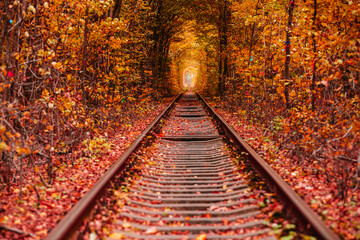 Fototapeta na wymiar love tunnel in autumn.