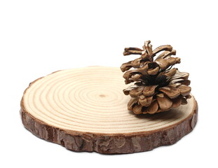 Round tree trunk cross section with pine cone, isolated on white background