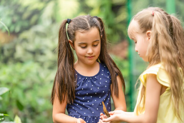 Two little sisters holding a butterfly in their hands. Children exploring nature. Family leisure with kids at summer.