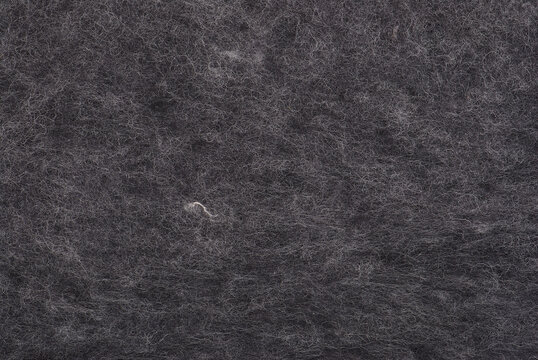 Black Sheep Wool Background Texture