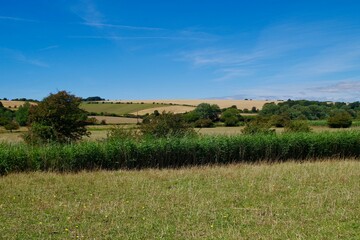 landscape with a fields and trees