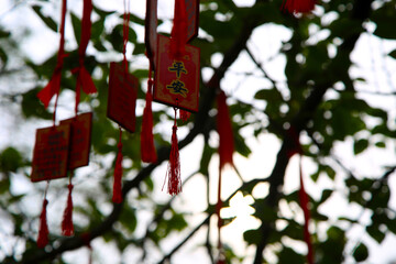 Fototapeta na wymiar Blessing widgets hanging on the tree, the Chinese text on the widget means 