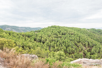 Serra d'Irta pine trees, Alcossebre, Costa del Azahar, Spain. Beautiful protected natural park, contrasted by sun and clouds. Located between Alcossebre and Peniscola, near the Mediterranean sea. 