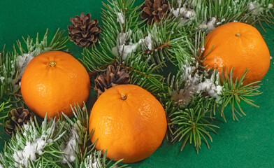 Fototapeta na wymiar image of tangerine citrus fruits on spruce branches in the snow