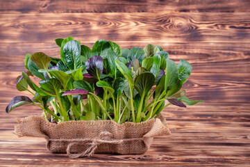 Fresh salad leaves in a wooden bowl on rustic wooden background