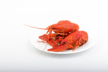 Boiled Fresh Crayfish,Crawfish,  isolated on white background