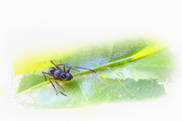 Extreme macro shot of spider look like and in the nature. Yellow spider is very small on the leaf. Selective focus and free space for text.