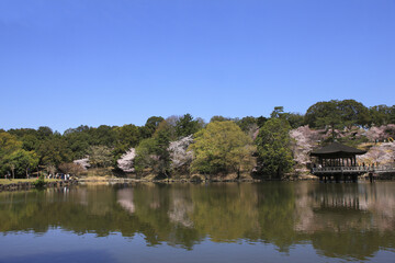 Fototapeta na wymiar 奈良、春の浮見堂