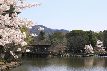 奈良、春の浮見堂