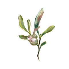 Obraz premium Hand drawn mistletoe branch isolated on white background. Watercolor and crayon vintage style winter botanical illustration. Christmas floral decoration, evergreen plant and berries. 