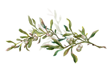 Hand drawn mistletoe branch isolated on white background. Watercolor and crayon vintage style winter botanical illustration. Christmas floral decoration, evergreen plant and berries.
