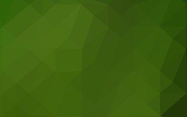 Light Green vector low poly layout.