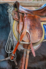 saddle