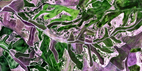 mauve jungle,  texture, abstract photography of the Spain fields from the air, aerial view,...