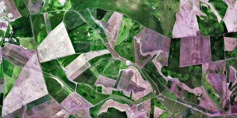 lavender fields  texture, abstract photography of the Spain fields from the air, aerial view,...