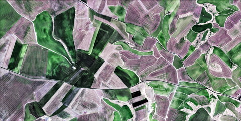 lavender fields,  texture, abstract photography of the Spain fields from the air, aerial view,...