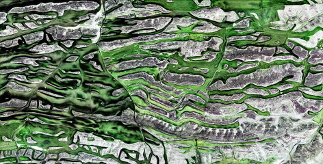 life seeks paths,  texture, abstract photography of the Spain fields from the air, aerial view,...