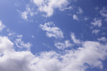 Obraz premium 青空