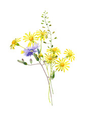 Bouquet of blue and yellow daisies on a white background