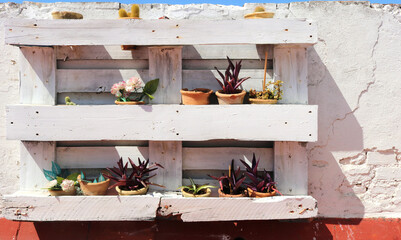 Urban garden of a rooftop with decorative recycled white pallet with pots, flowers, cactus and plants on an outdoors wall - creative ideas at home