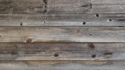 Obraz premium old wood texture