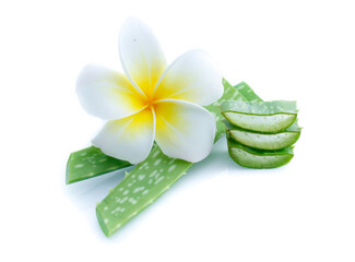 Aloe Vera sliced isolated on white background