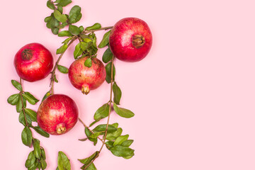 Granadas maduras y jugosas enteras con hojas y rama sobre un fondo rosa pastel liso y aislado....