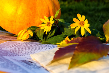 Thanksgiving or Halloween day concept. Pumpkin, yellow flowers and autumn leaves on the table in the garden. Autumn season of pumpkins.