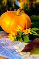 Thanksgiving holiday. Pumpkin, yellow flowers and autumn leaves on a blurred background of autumn garden.