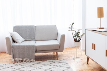 Cozy Minimalistic Living Room Interior Background With Comfortable Sofa