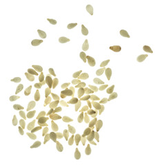 Sesame on white