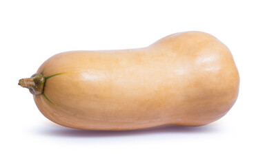 pumpkin butternut isolated on white background