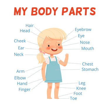 Child learning poster. Cheerful girl and her body parts with signatures. Human body study for children
