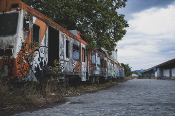 abandoned rusty trains painted with graffiti