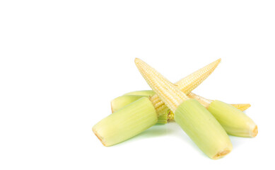 baby corn isolated on white background