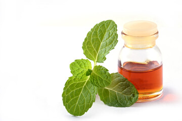 Organic essential mint oil in a small glass jar with green mint leaves,Health and beauty,still life spa concept.Copy space background