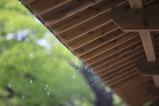 863 件の最適な 雨宿り 画像、ストック写真、ベクター | Adobe Stock