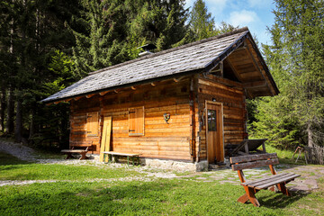 Obraz premium Holzhütte auf einem Hügel im Wald