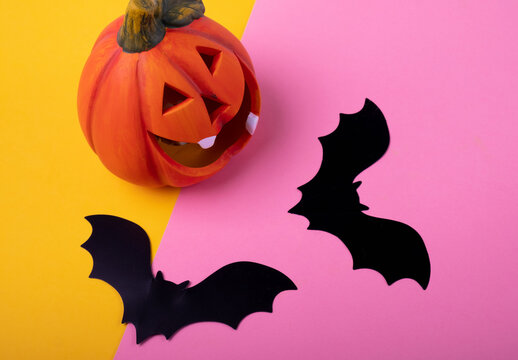 Two bats and a pumpkin on a bright background. Halloween background.