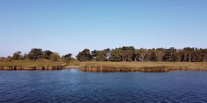 Schilfufer am Bodden