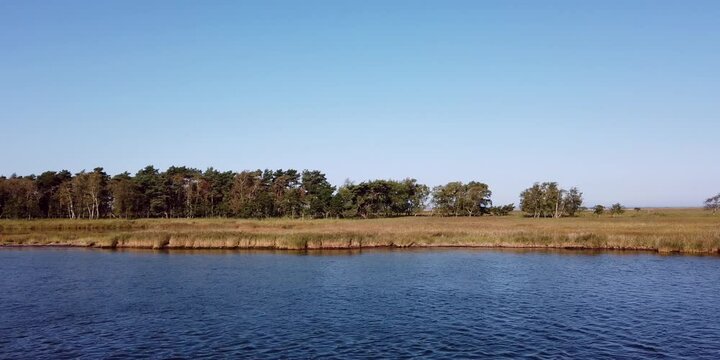 Schilfufer am Bodden